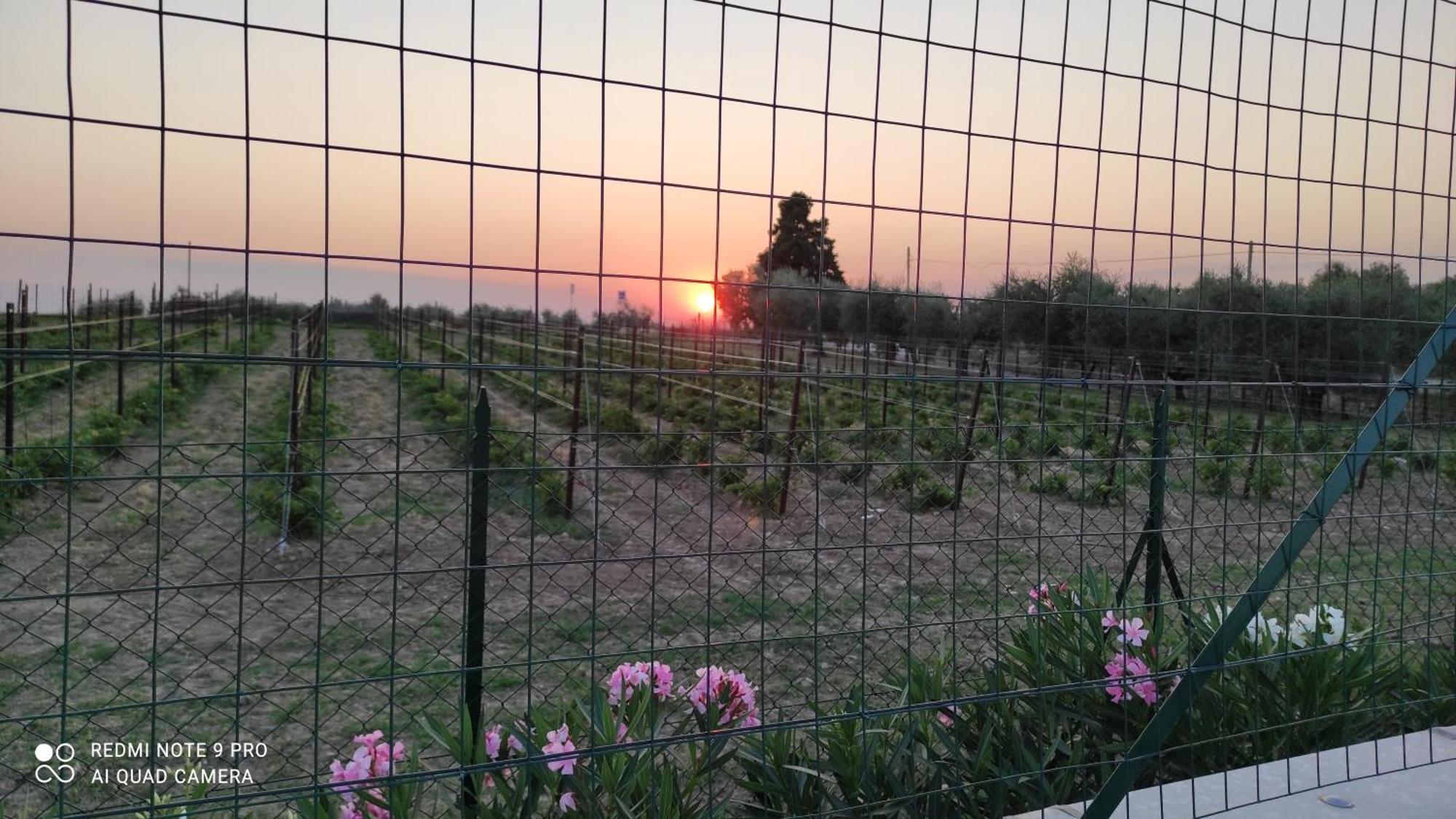 Appartamenti A Bardolino Zimmer foto